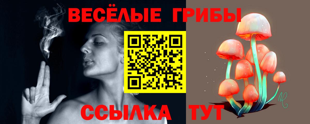 Галлюциногенные грибы Psilocybe Усть-Илимск